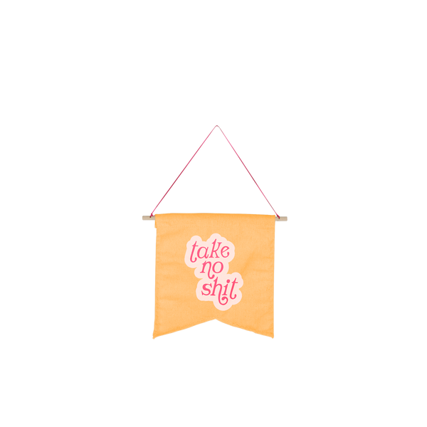 cute hanging wall style pennant on orange background with phrase "Take no shit."